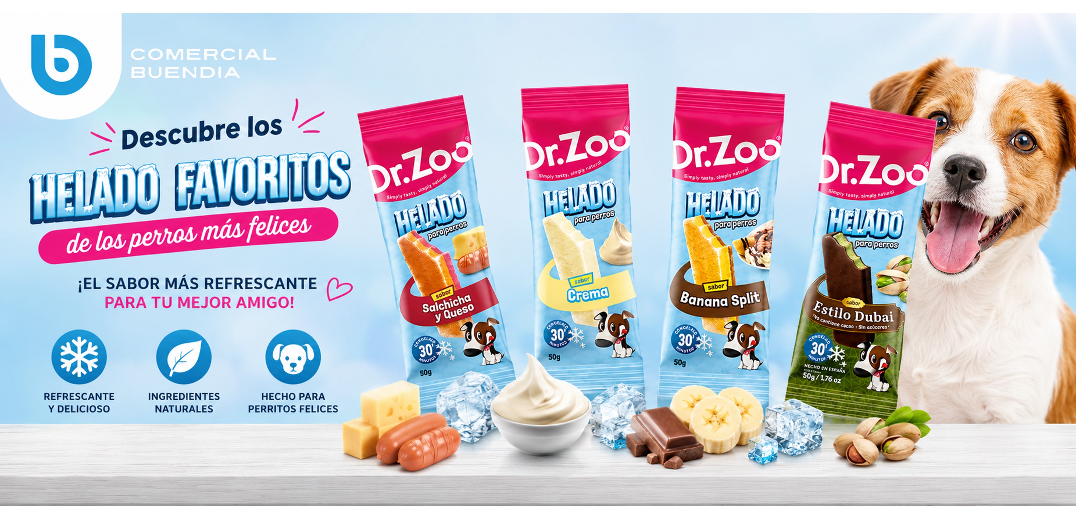 DR.ZOO HELADOS